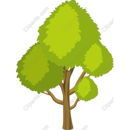 Lush Green Tree