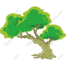 Lush Tree