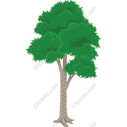 Vibrant Tree
