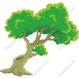 Lush Green Tree