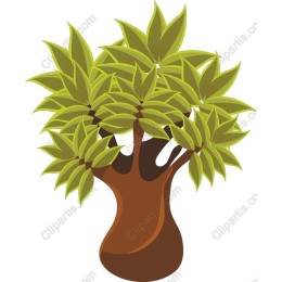 Lush Green Tree
