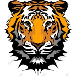 Fierce Tiger