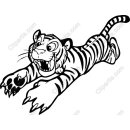 Playful Tiger