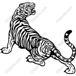 White Tiger