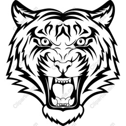 Fierce Roaring Tiger Head
