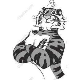 Playful Tiger