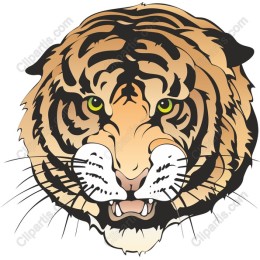 Fierce Tiger