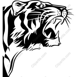 Tiger Roar