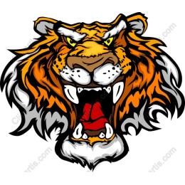 Roaring Tiger Head