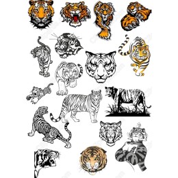 Ferocious Tiger Set