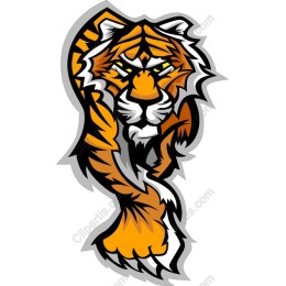 Fierce Tiger