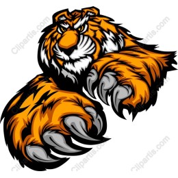 Fierce Tiger
