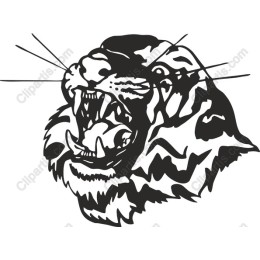 Roaring Tiger Head