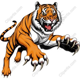 Fierce Roaring Tiger