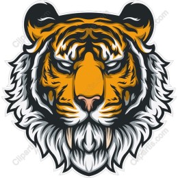 Fierce Tiger Head
