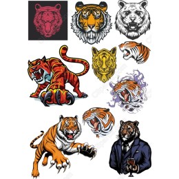 Fierce Tiger Collection