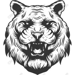 Fierce Bear Head