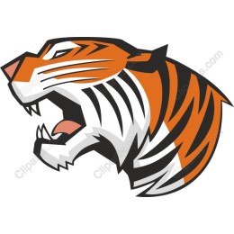 Tiger Head