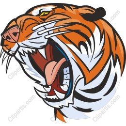 Roaring Tiger