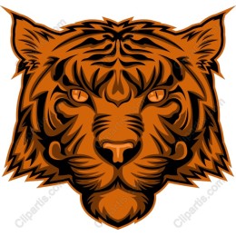 Fierce Tiger