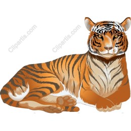 Majestic Tiger