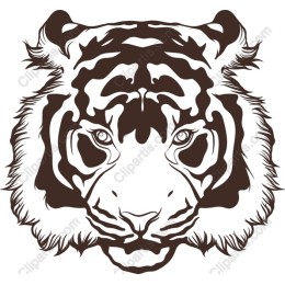 Fierce Tiger