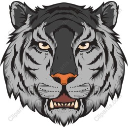 Fierce Tiger Head