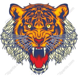 Fierce Tiger