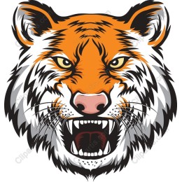 Fierce Tiger Head