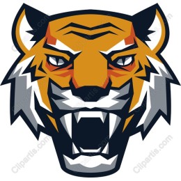 Fierce Tiger Head