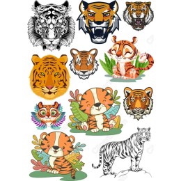 Majestic Tiger Bundle - 12 Unique