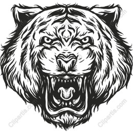 Roaring Tiger
