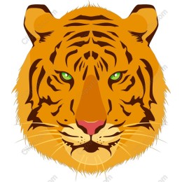 Majestic Tiger Head