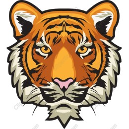 Majestic Tiger Head