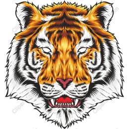 Fierce Tiger