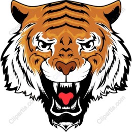 Fierce Tiger Head
