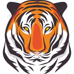 Majestic Tiger
