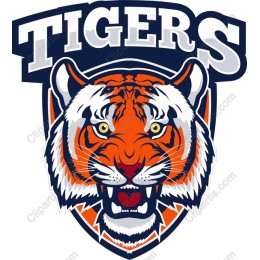 Fierce Tiger Head