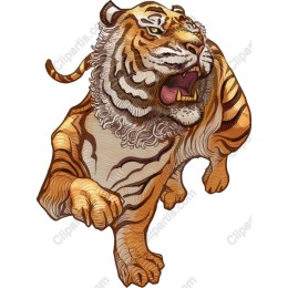 Majestic Tiger