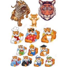 Vibrant Tiger Bundle
