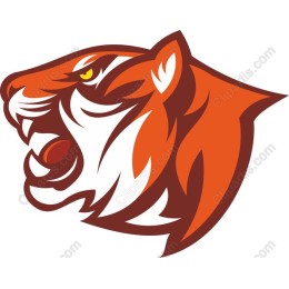 Fierce Tiger