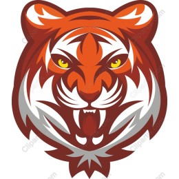Fierce Tiger Head