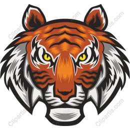 Bold Tiger Head