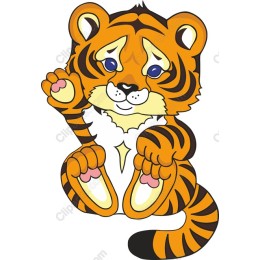 Playful Tiger Cub
