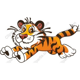 Playful Tiger