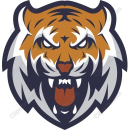 Fierce Tiger Head