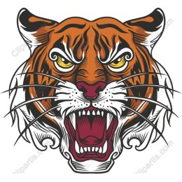 Fierce Tiger Head