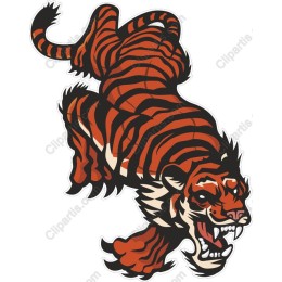 Fierce Tiger