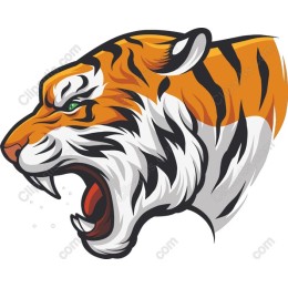 Fierce Tiger Head