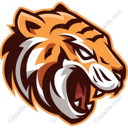 Fierce Roaring Tiger Head